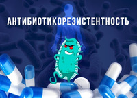 Международный